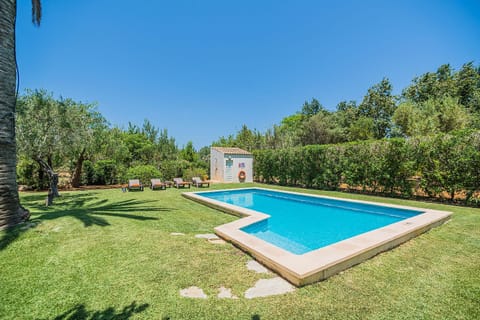 Garden, Swimming pool, Swimming pool