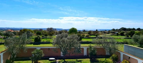 Natural landscape, Garden, Garden view