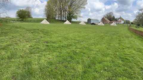 Willow glamping Luxury tent in Broadland District