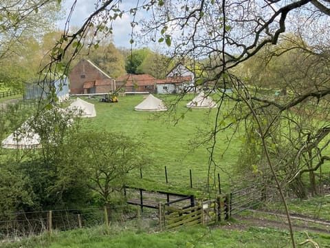 Willow glamping Luxury tent in Broadland District