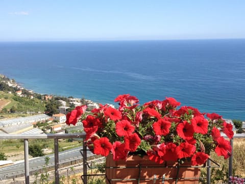 Villa Mont des Oliviers CITRA-8055LT-1805 e 1807 Bed and Breakfast in Sanremo