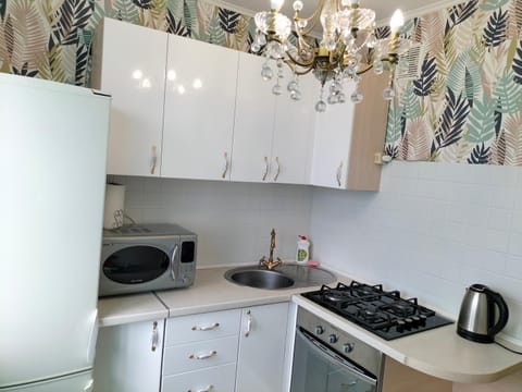 Sunny Home Apartment Apartment in Dnipro