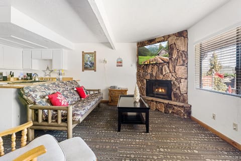 02- American Black Bear At Village Suites Inn Nature lodge in Big Bear