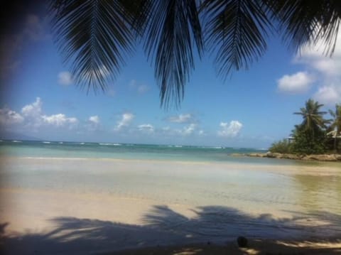 Au bord de mer Apartment in Marie-Galante