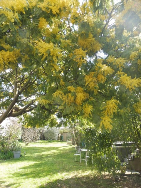 Garden, Garden view