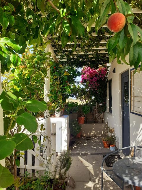 Patio, Garden