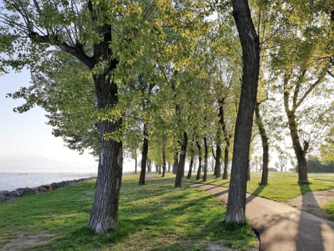 Natural landscape, Cycling