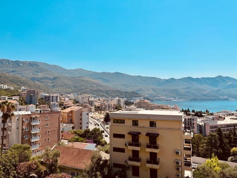 Nearby landmark, Natural landscape, City view, Sea view