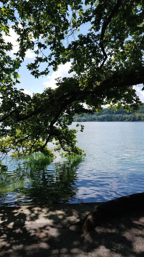 Hiking, Lake view