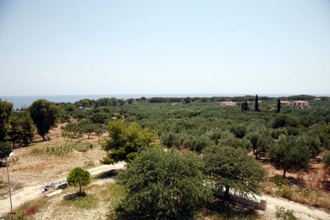 View (from property/room), Area and facilities