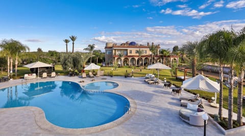 Bird's eye view, Garden, Swimming pool