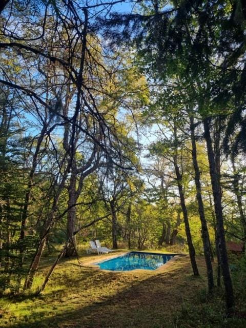 Spring, Day, Natural landscape, Garden view, Pool view, Swimming pool