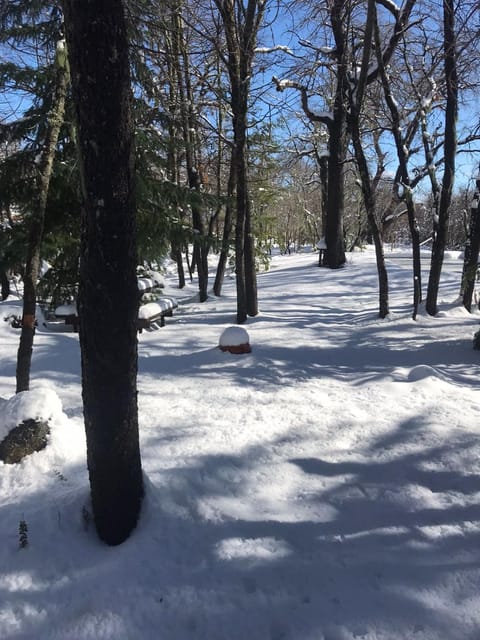 Day, Natural landscape, Winter