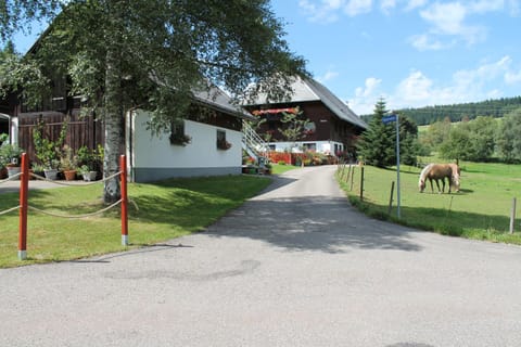 Ferienwohnung Schwarzwaldhof Appartamento in Titisee-Neustadt