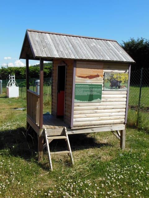 Children play ground, Entertainment