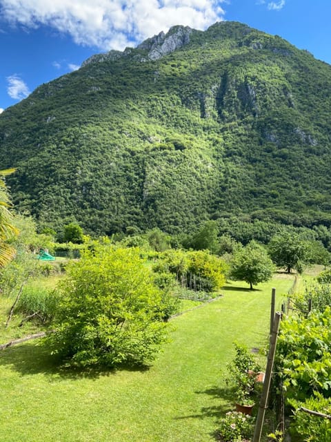 Garden, Mountain view