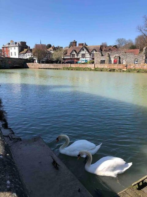 Quirky 1 bedroom barn on the river in Arundel Casa in Arundel