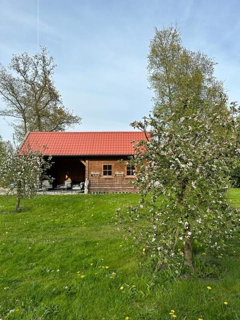 Blokhut Chalet in Drenthe (province)