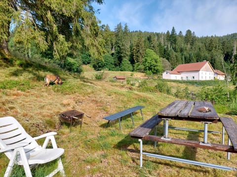 Le Refuge perché du saut de la bourrique SPA Gérardmer Chalet in Gérardmer