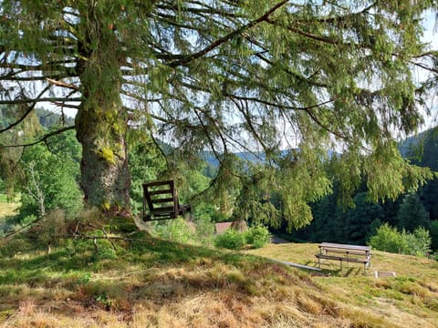 Le Refuge perché du saut de la bourrique SPA, terrain clôturé Gérardmer Chalet in Gérardmer