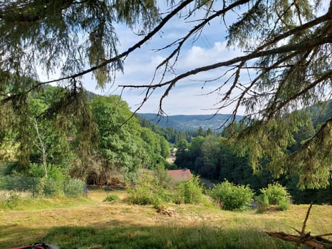 Le Refuge perché du saut de la bourrique SPA, terrain clôturé Gérardmer Chalet in Gérardmer