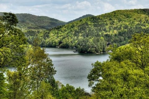 Dog Friendly Cabin Lake & Mountain Views Hot Tub House in Blue Ridge Lake