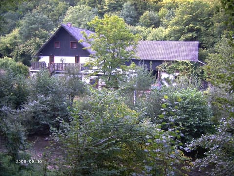 Natural landscape, Summer, Garden view