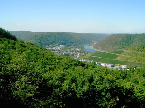 Nearby landmark, View (from property/room), Area and facilities