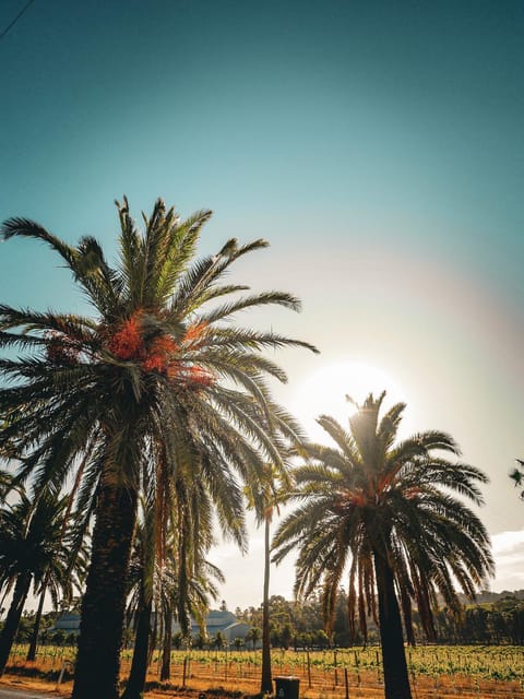 Day, Natural landscape