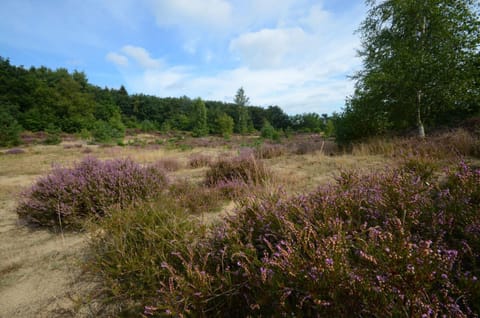 Fletcher Hotel - Restaurant de Zeegser Duinen Hotel in Drenthe (province)