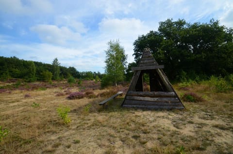 Children play ground, Area and facilities