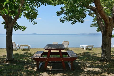 Beach, Lake view