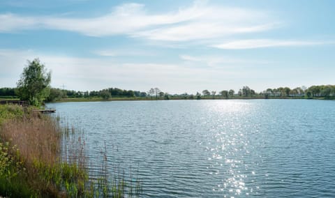 Spring, Day, Natural landscape, Beach, Beach, Lake view