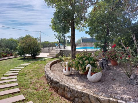 Day, Garden, Garden view, Pool view