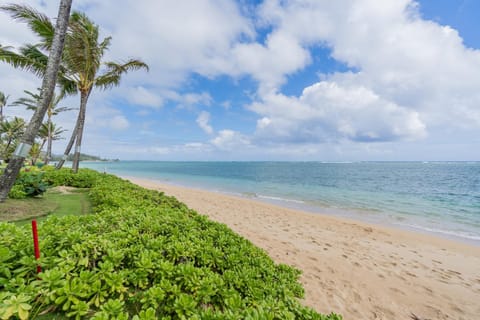 The Location! Aloha Soul Beachfront Eigentumswohnung in Punaluu