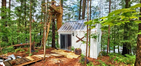 Property building, Natural landscape