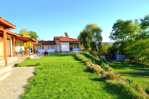 Spring, Day, Natural landscape, Garden, Garden view