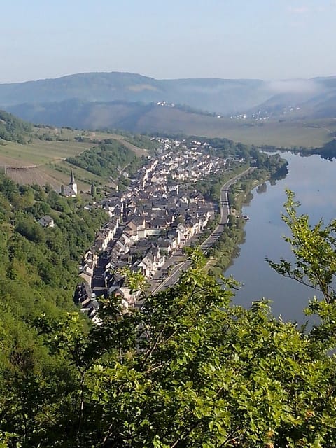 Weingut Goeres Bed and Breakfast in Cochem-Zell