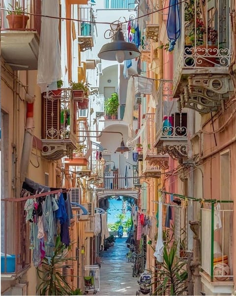 Street view, Street view, Quiet street view, Inner courtyard view