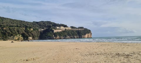 Nearby landmark, Beach