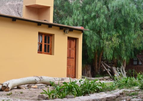 Property building, Spring, Garden, Garden view