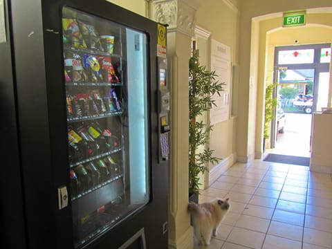 Staff, Area and facilities, Drinks, vending machine