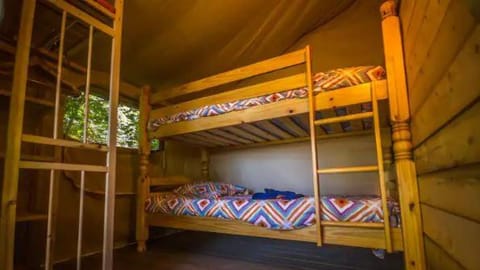 Natural landscape, bunk bed