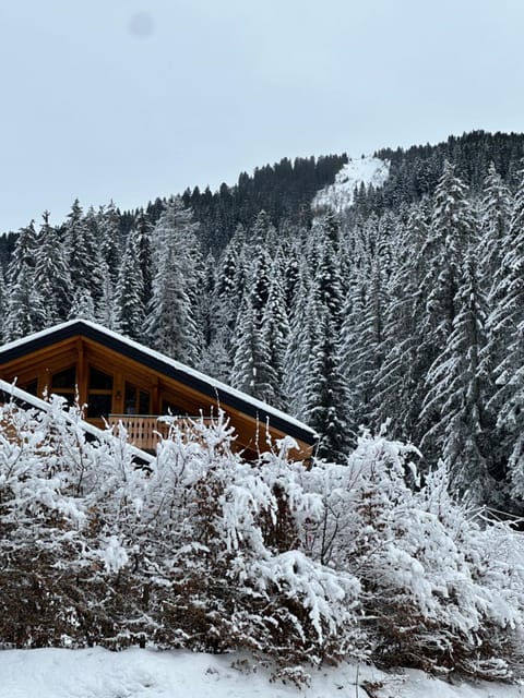 La Rose des neiges à Châtel Appartamento in Châtel