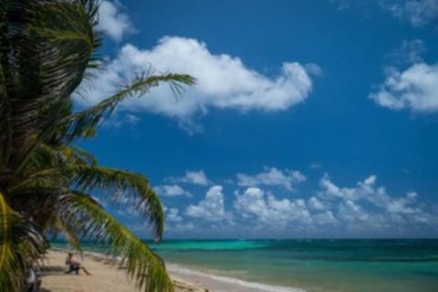 Casa Paraíso - Little Corn Island Eigentumswohnung in South Caribbean Coast Autonomous Region