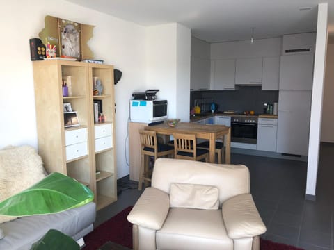 One bedroom 3pieces entire Modern Appartment close to Airport, CERN, Palexpo, public transport to the center of Geneva Apartment in Canton of Geneva