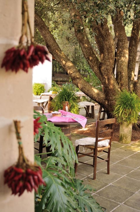 Alba Bed & Breakfast Bed and Breakfast in Apulia