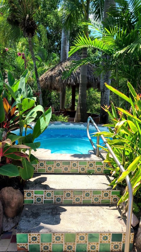 Hot Tub, Swimming pool