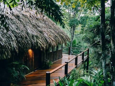 Blancaneaux Lodge Nature lodge in Cayo District
