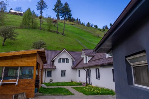 Vila Rustica Villa in Brașov County